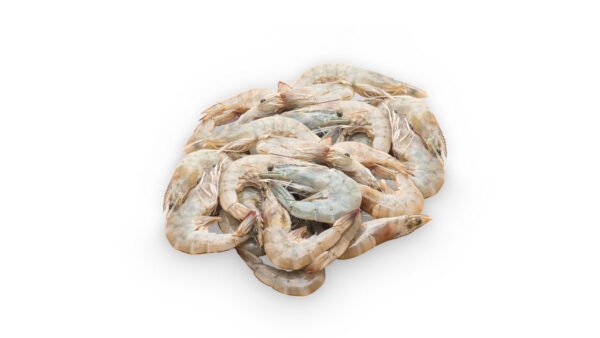 Vannamei Shrimp
