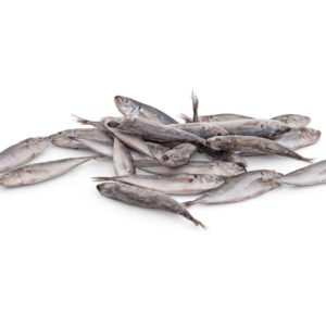 Small Horse Mackerel