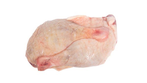 Duck Leg