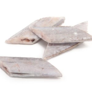 White Scabbard Fish Steak