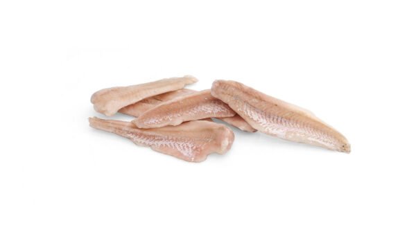 Hake Fillets