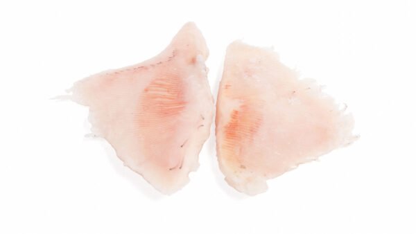 Skinless Raywings