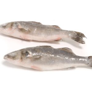 Whole Frozen Robalo