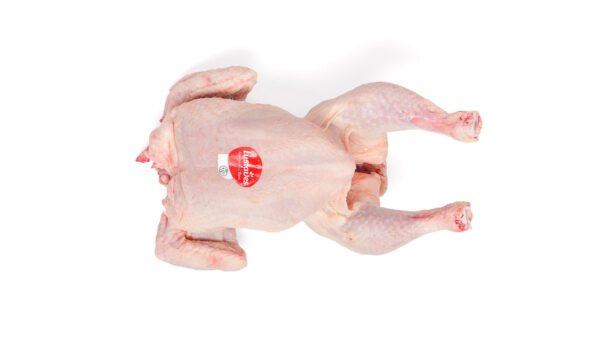 Whole White Chicken Without Giblets