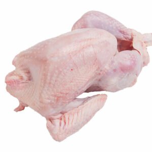 Bronze Turkey