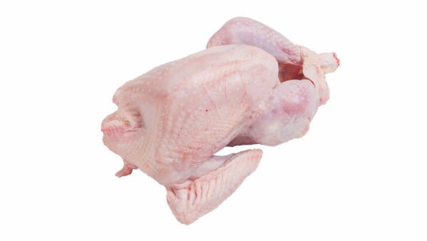 Bronze Turkey