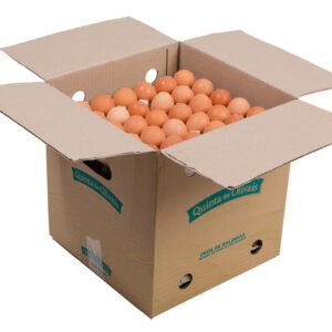 Fresh Eggs