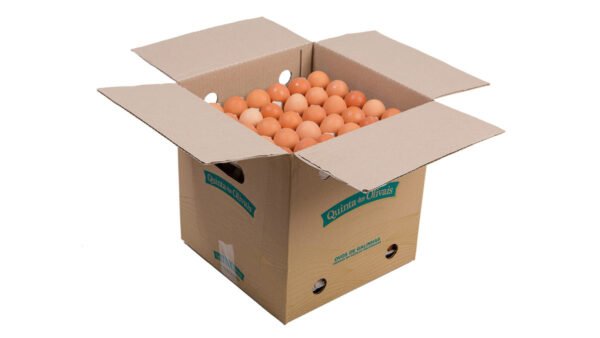 Fresh Eggs