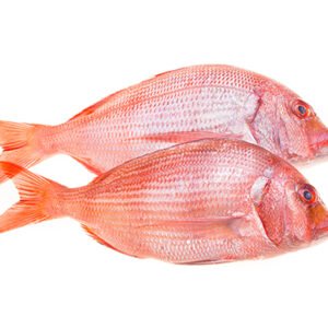 Whole Frozen Red Snapper
