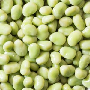 IQF Broad Beans