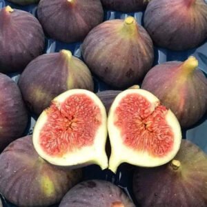 IQF Figs