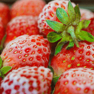 IQF Strawberries