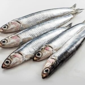 Wild Whole Anchovies