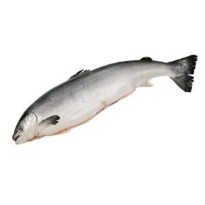 Whole Gutted Salmon