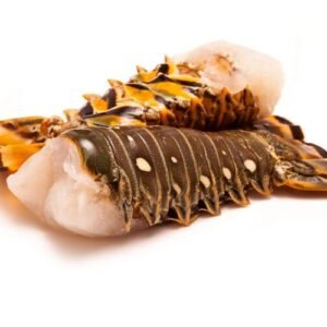 Lobster Tail