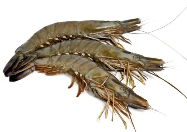 Whole Prawns