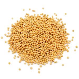 Organic Yellow Mustard Seeds