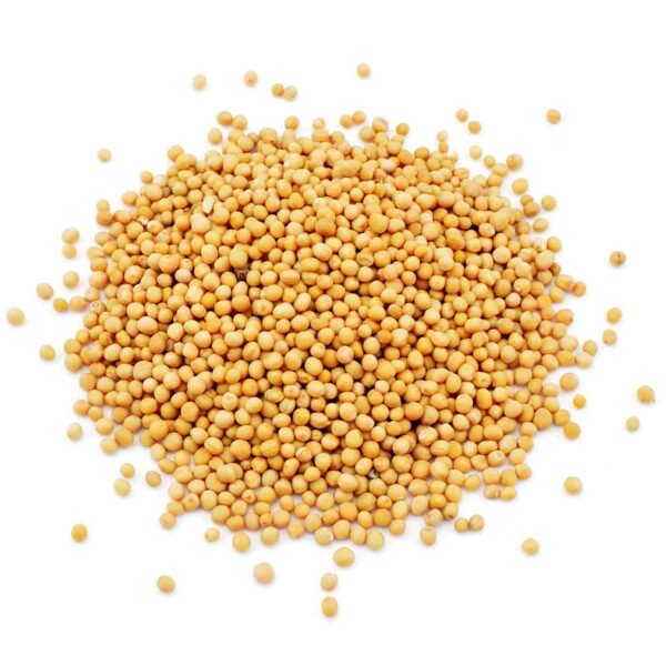 Organic Yellow Mustard Seeds